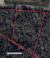 Lot 2 County Road 819, Brazoria, TX 77422