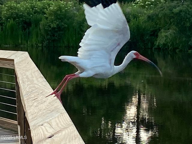 1503 Paris Avenue, Port Royal, SC 29935