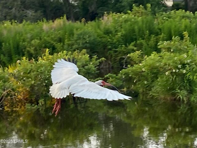 1503 Paris Avenue, Port Royal, SC 29935