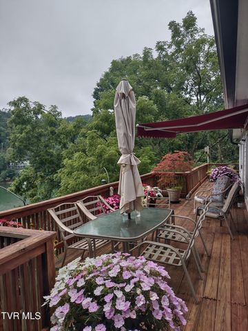 465 Big Oak, Butler, TN 37640