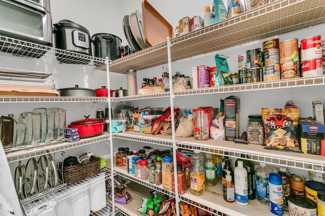 245 Summer Tanager Drive, Ravenel, SC 29470