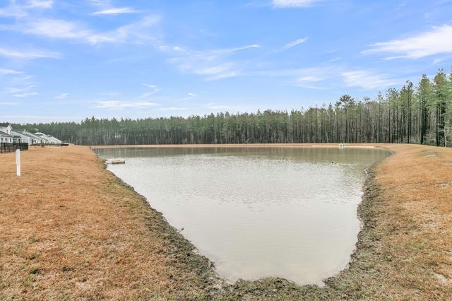 245 Summer Tanager Drive, Ravenel, SC 29470