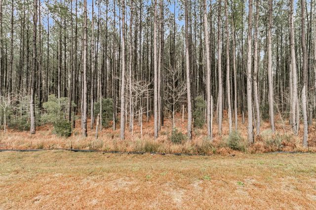 245 Summer Tanager Drive, Ravenel, SC 29470