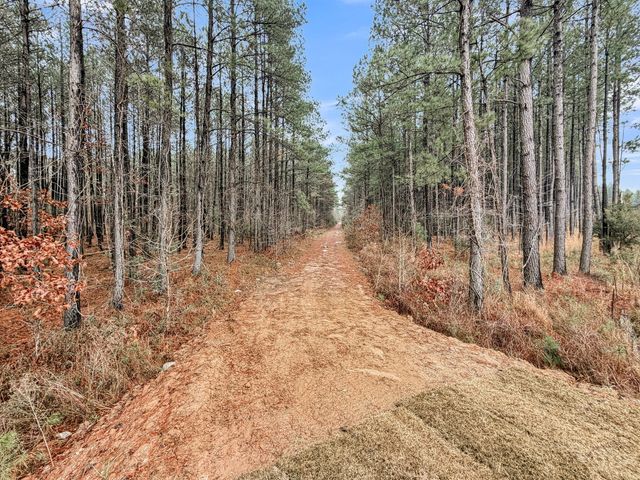 245 Summer Tanager Drive, Ravenel, SC 29470