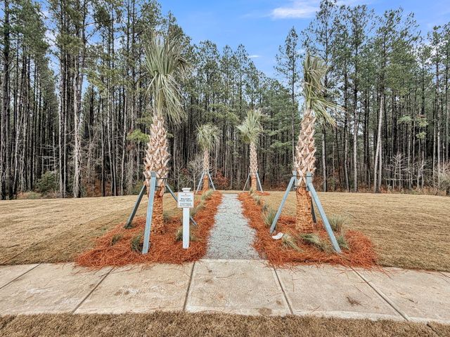 245 Summer Tanager Drive, Ravenel, SC 29470