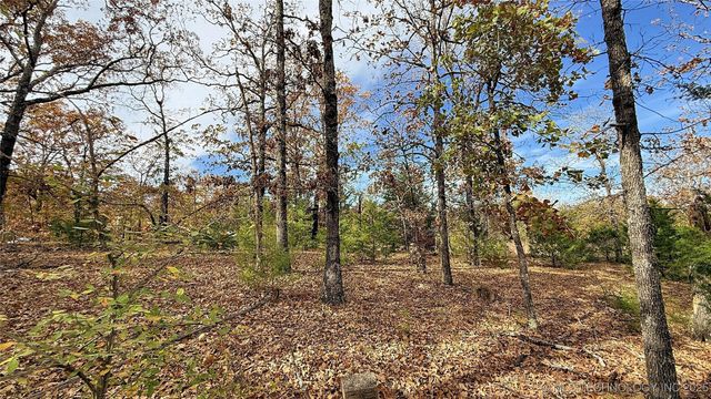 225 W Budinot Drive, Park Hill, OK 74451