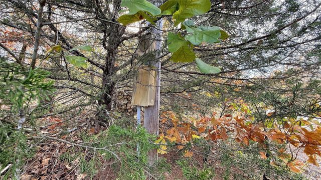 225 W Budinot Drive, Park Hill, OK 74451