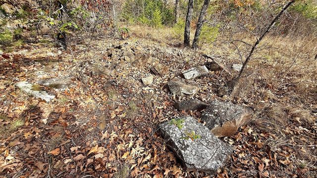 225 W Budinot Drive, Park Hill, OK 74451