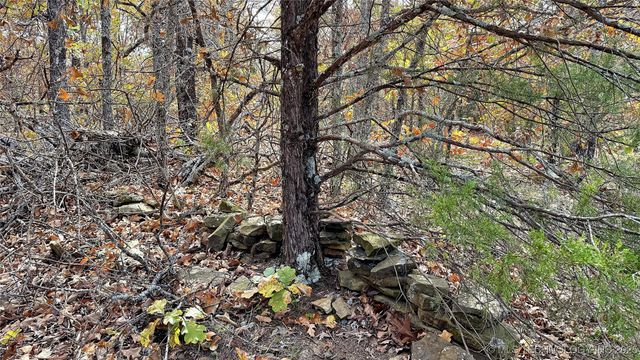 225 W Budinot Drive, Park Hill, OK 74451