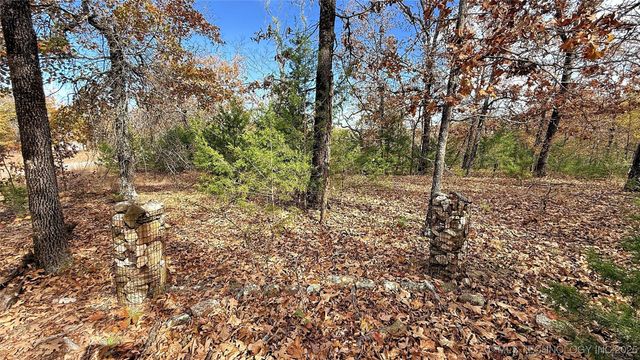 225 W Budinot Drive, Park Hill, OK 74451