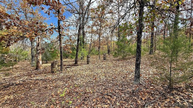 225 W Budinot Drive, Park Hill, OK 74451
