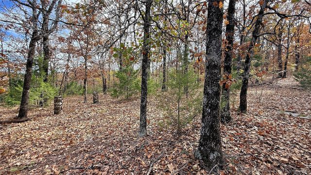 225 W Budinot Drive, Park Hill, OK 74451