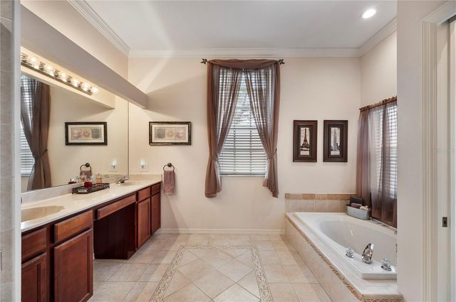 17710 CURRIE FORD DRIVE, Lutz, FL 33558