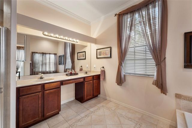 17710 CURRIE FORD DRIVE, Lutz, FL 33558