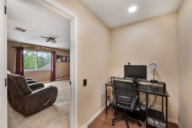 17710 CURRIE FORD DRIVE, Lutz, FL 33558