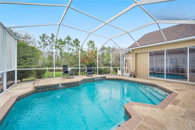 17710 CURRIE FORD DRIVE, Lutz, FL 33558