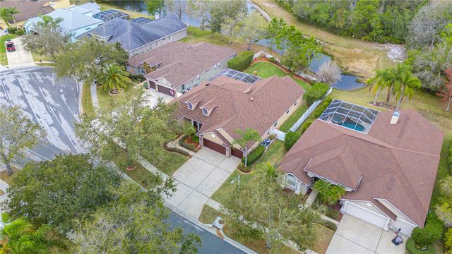 17710 CURRIE FORD DRIVE, Lutz, FL 33558