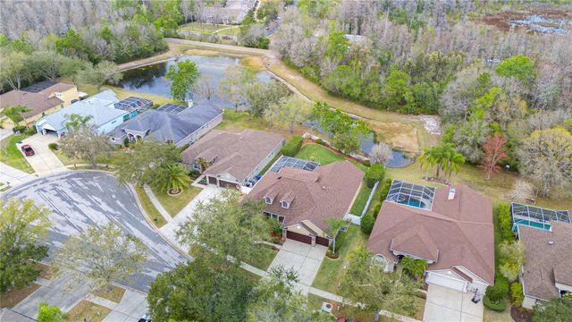 17710 CURRIE FORD DRIVE, Lutz, FL 33558