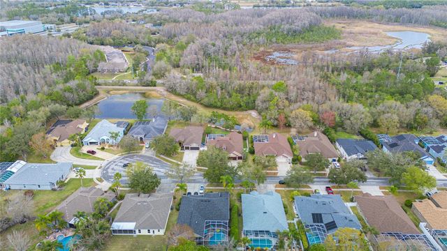 17710 CURRIE FORD DRIVE, Lutz, FL 33558