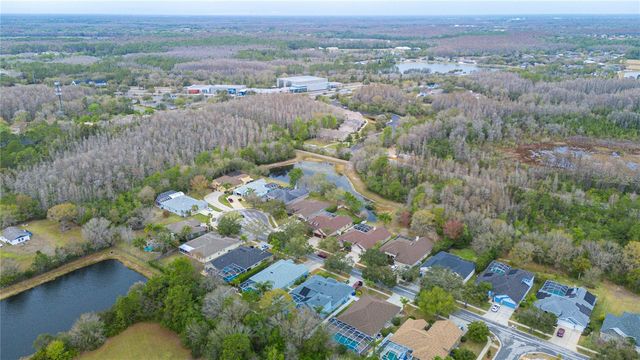 17710 CURRIE FORD DRIVE, Lutz, FL 33558