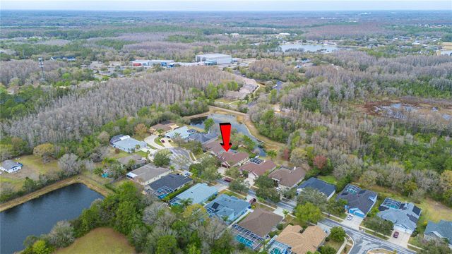 17710 CURRIE FORD DRIVE, Lutz, FL 33558