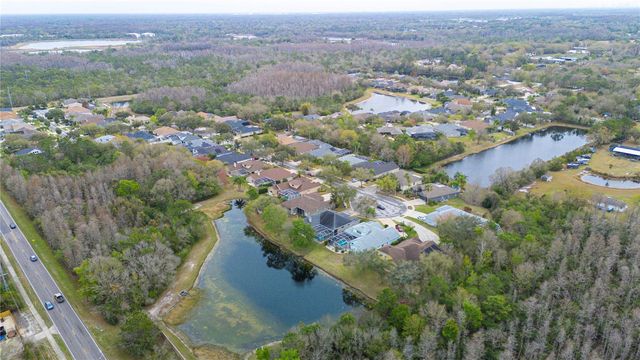 17710 CURRIE FORD DRIVE, Lutz, FL 33558