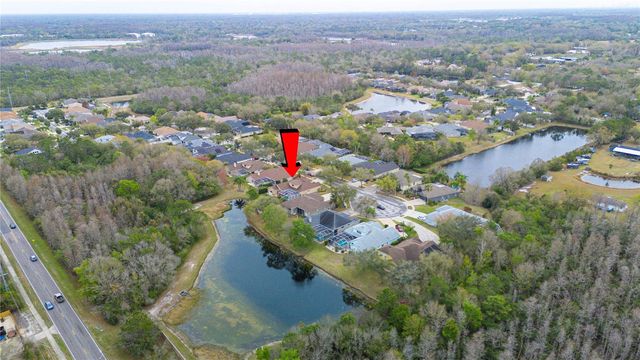 17710 CURRIE FORD DRIVE, Lutz, FL 33558