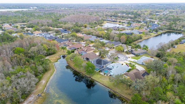 17710 CURRIE FORD DRIVE, Lutz, FL 33558