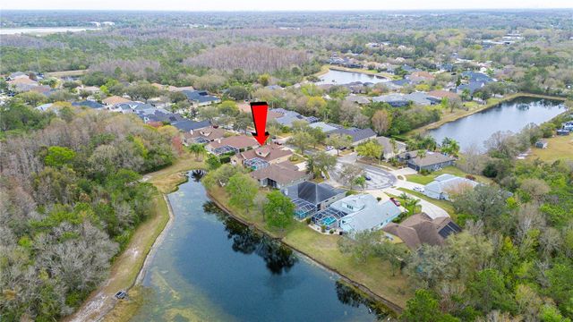 17710 CURRIE FORD DRIVE, Lutz, FL 33558