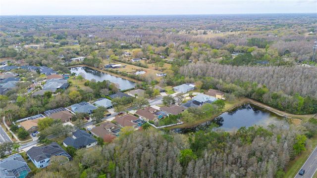 17710 CURRIE FORD DRIVE, Lutz, FL 33558