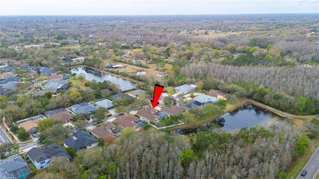 17710 CURRIE FORD DRIVE, Lutz, FL 33558