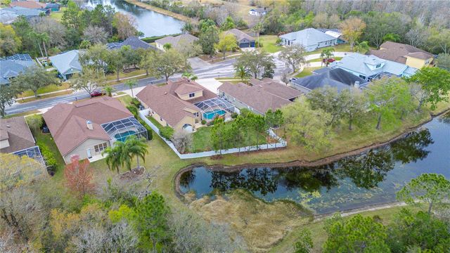 17710 CURRIE FORD DRIVE, Lutz, FL 33558