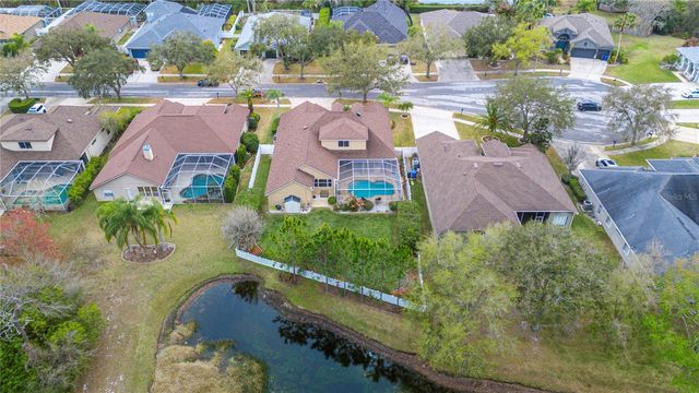 17710 CURRIE FORD DRIVE, Lutz, FL 33558