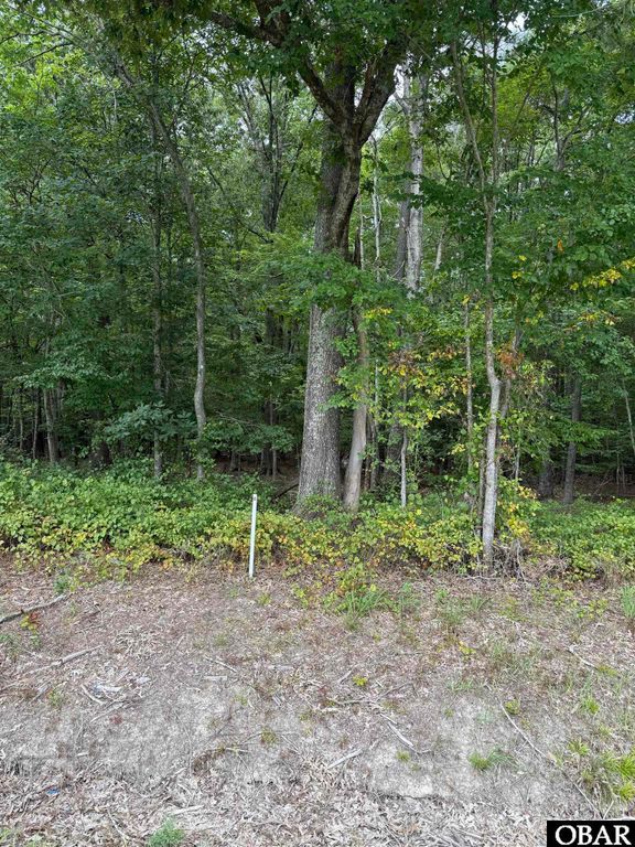 Image 1 of property listing at TBD Boat Ramp Road Lot 4, New Hope, NC 27944