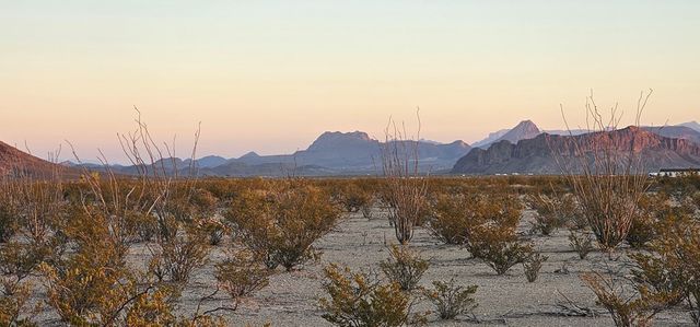 1625 La Roja Lane, Terlingua, TX 79852