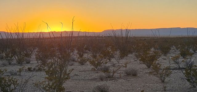 1625 La Roja Lane, Terlingua, TX 79852