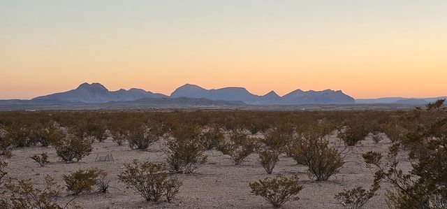 1625 La Roja Lane, Terlingua, TX 79852