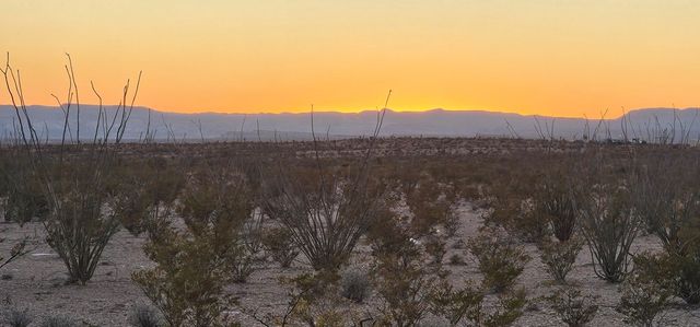 1625 La Roja Lane, Terlingua, TX 79852