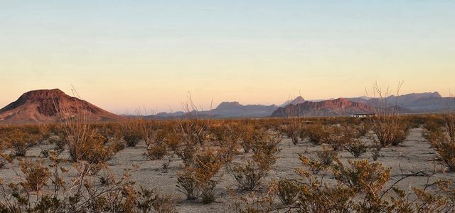 1625 La Roja Lane, Terlingua, TX 79852