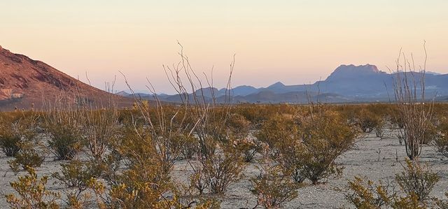 1625 La Roja Lane, Terlingua, TX 79852