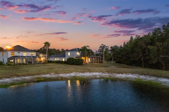 27338 HOLLYBROOK TRAIL, Wesley Chapel, FL 33544