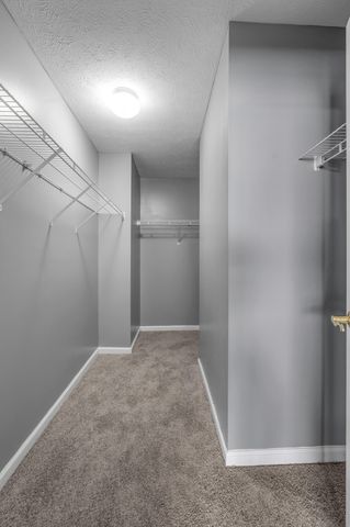 1117 Rolfe Lane, Lexington, KY 40513