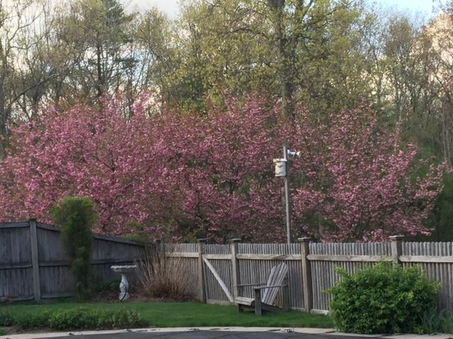 10 Anna Way, Norton, MA 02766