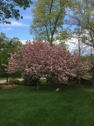 10 Anna Way, Norton, MA 02766