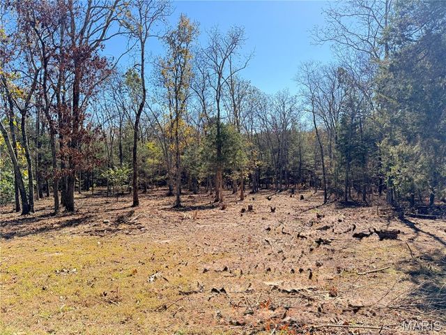 9262 AA Route, Farmington, MO 63640