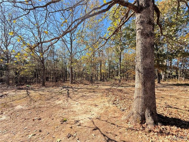 9262 AA Route, Farmington, MO 63640