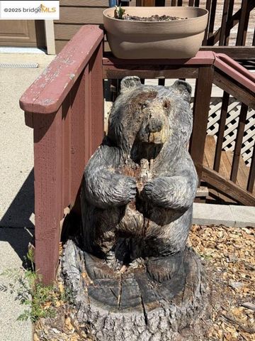 19620 Golden Rock Circle, Groveland, CA 95321