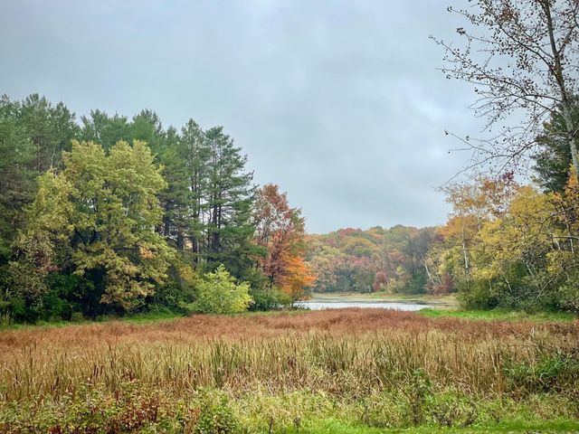 14169 Homestead Avenue N, Hugo, MN 55038