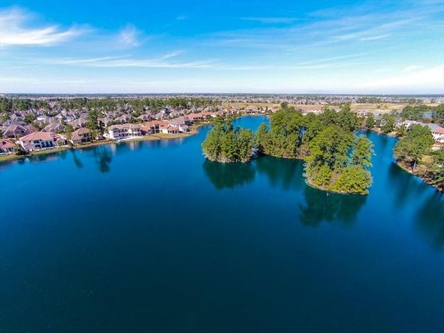 19902 Tidy Tips Lane, Spring, TX 77379