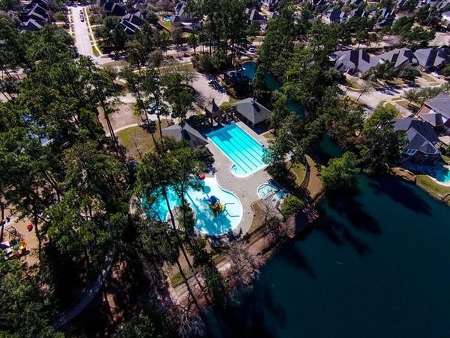 19902 Tidy Tips Lane, Spring, TX 77379